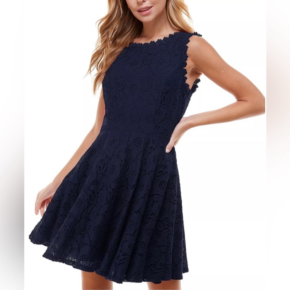 Lace Embroidered Mini Navy Dress
